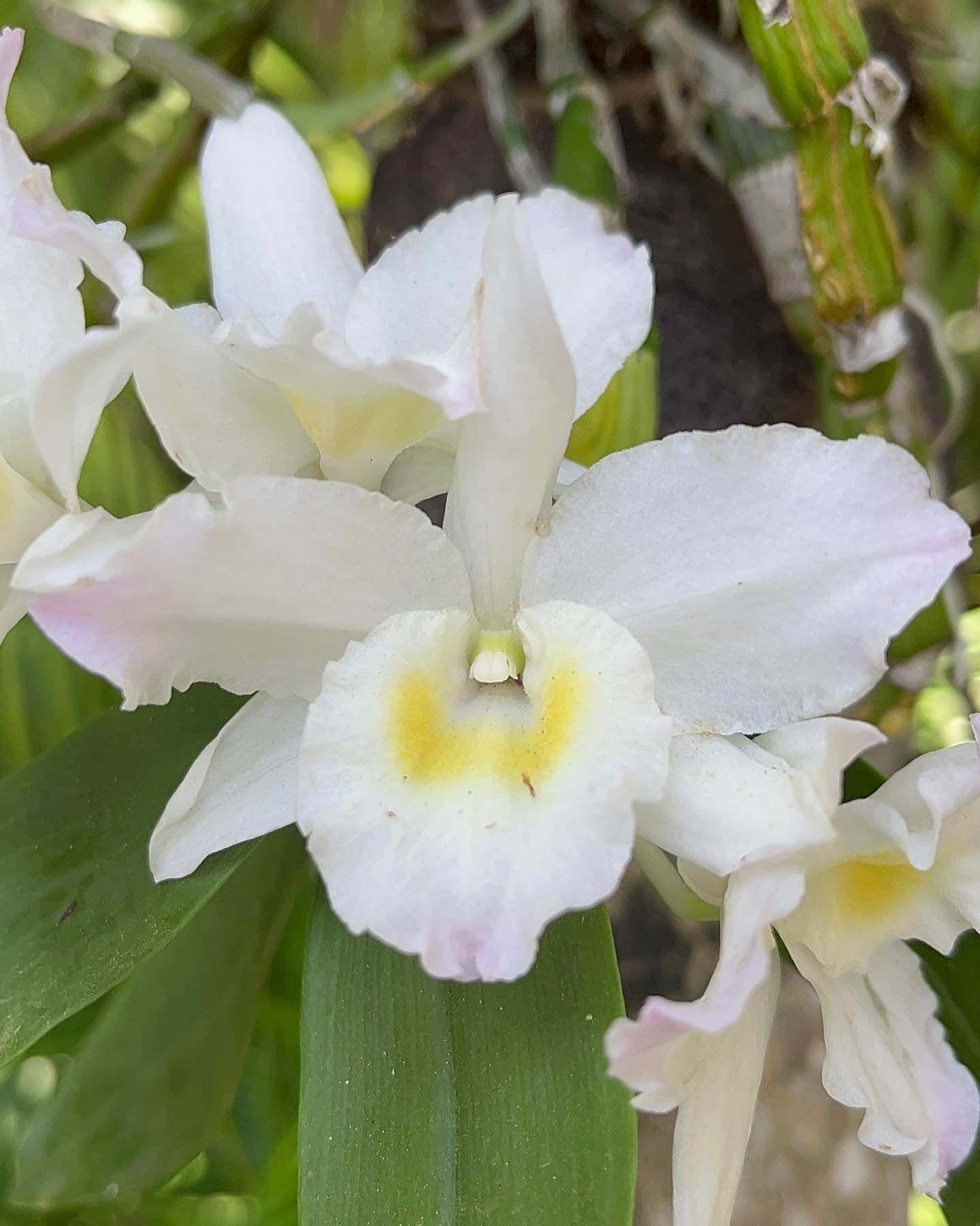 652008549 18098451719058276 4730097381538643242 n