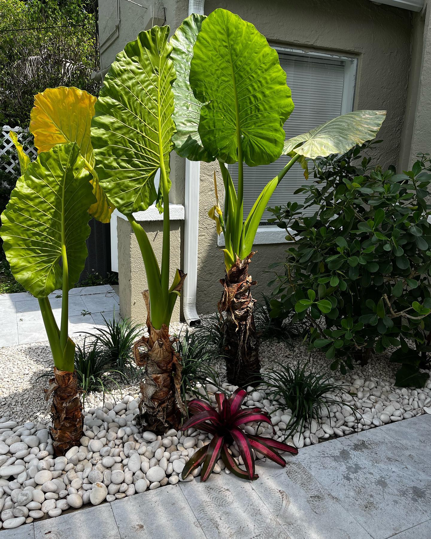 656482273 18441530191118211 985122378940322395 n